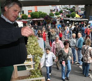 zum Vergrößern anklicken